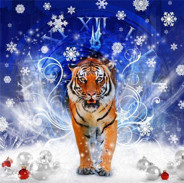 Открытка с тигром на Новый год