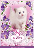 Открытка с 8 марта с изображением белого котенка